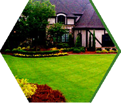 Landscape Design Carriere MS