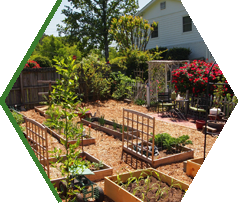 Lawn Care Carriere MS