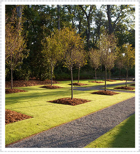 Brother in Lawn and Landscape